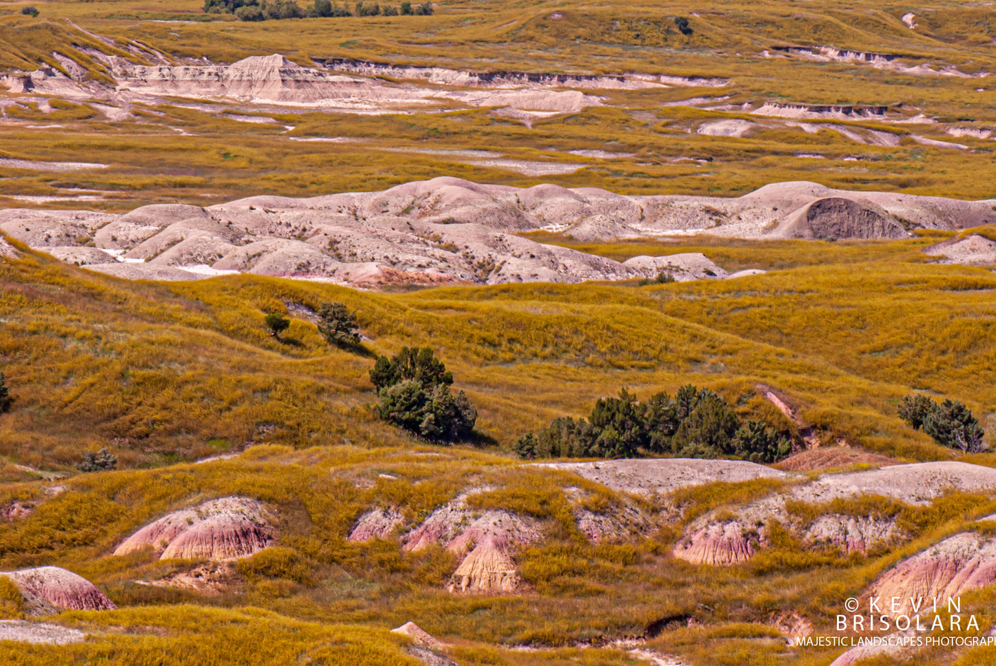 BEAUTIFUL ROLLING HILLS