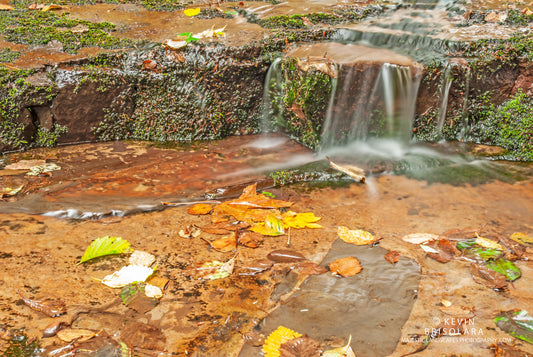 NOTE CARDS 226_625  WATERFALL,SWEET CREEK