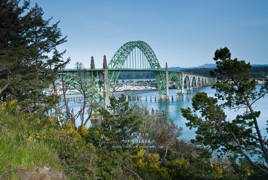 NOTE CARDS 177_169 NEWPORT BRIDGE, YAQUINA RIVER