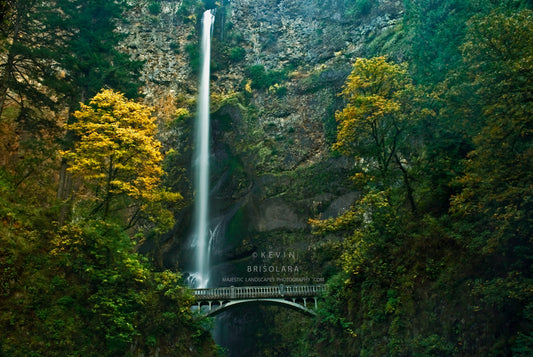 NOTE CARDS 199_240 MULTNOMAH FALLS