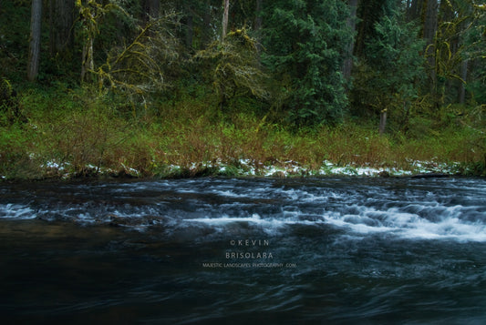 NOTE CARDS 175_285 SOUTH FORK SILVER CREEK, SILVER FALLS STATE PARK