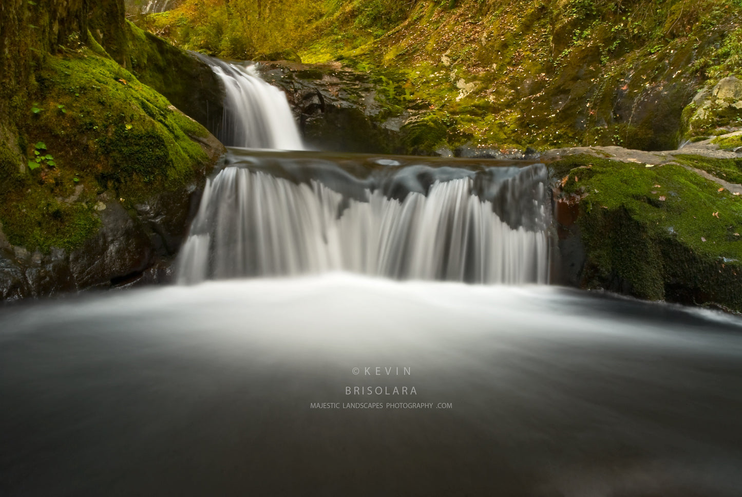 NOTE CARDS 197_509  UNNAMED WATERFALL, SWEET CREEK, SIUSLAW NATIONAL FOREST