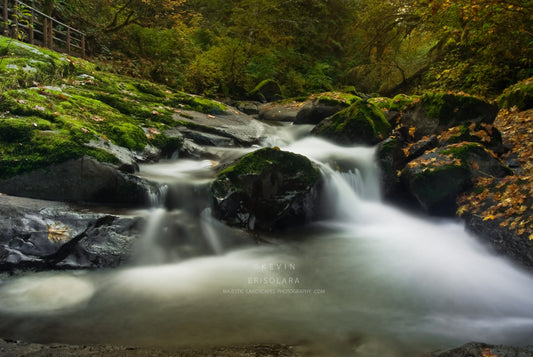 NOTE CARDS 197_519 UNNAMED WATERFALL, SWEET CREEK, SIUSLAW NATIONAL FOREST