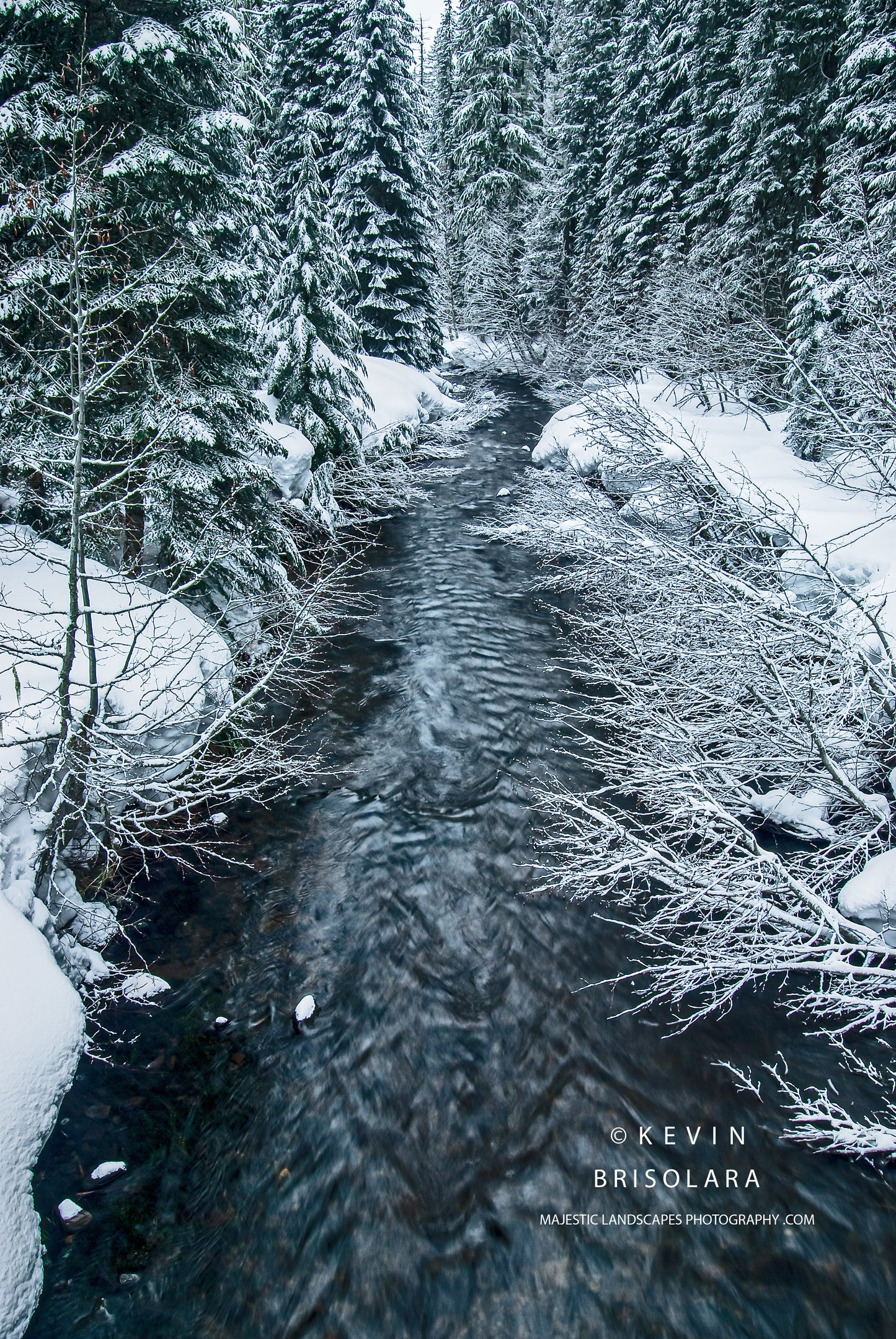 CUTTING THROUGH WINTER