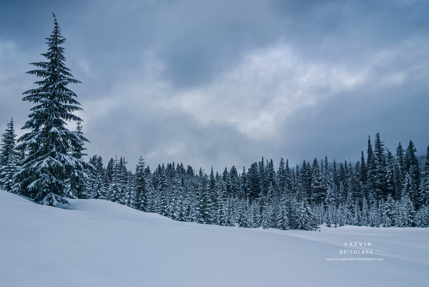 A WINTERS HOLD IN THE MOUNTAINS