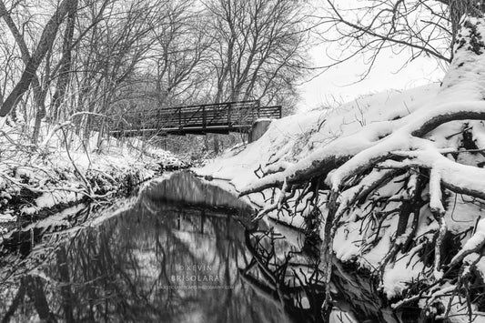 WINTER REFLECTIONS